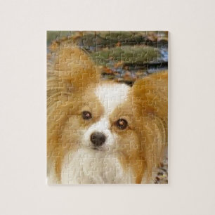 Papillon Legpuzzel