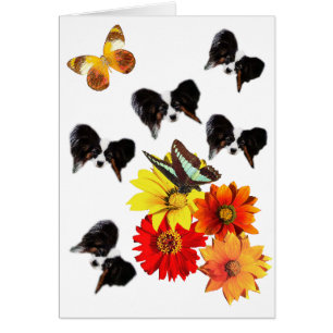 Papillon Lovers Gifts