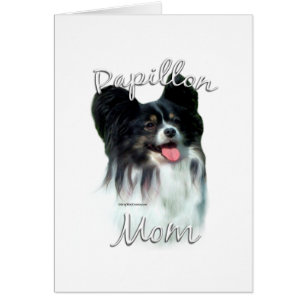 Papillon Ma 2