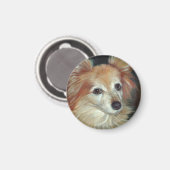 Papillon Magnet (Voorkant / Achterkant)