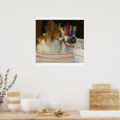 Papillon Mam en Baby Poster (Keuken)