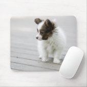 Papillon Muismat (Met muis)
