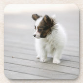 Papillon Onderzetter (Voorkant)