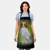 papillon, papilon, papillon-honden, papillon-honde schort (Gedragen)