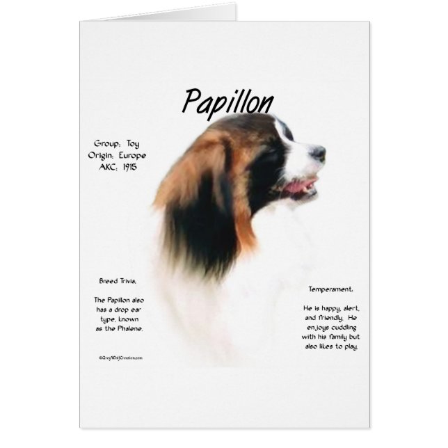 Papillon (Phalene) Geschiedenis ontwerp (Voorkant)