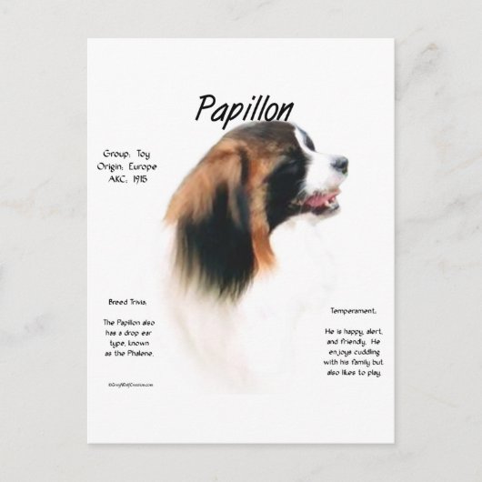 Papillon (Phalene) Geschiedenis ontwerp Briefkaart (Voorkant)