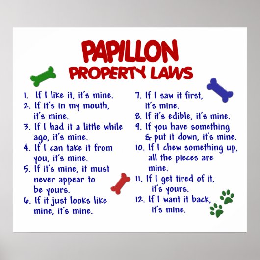 PAPILLON PL2 POSTER (Voorkant)