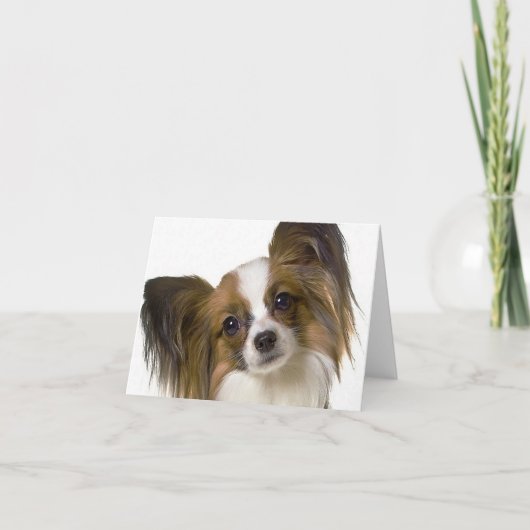 papillon.png kaart (Voorkant)