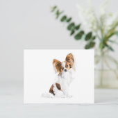 Papillon Portrait Waterverf Briefkaart (Staand voorkant)