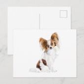 Papillon Portrait Waterverf Briefkaart (Voorkant / Achterkant)