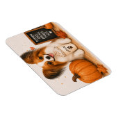 Papillon Pumpkin Spice Magneet (Rechterzijde)