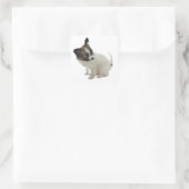 papillon pup vierkante sticker (Tas)