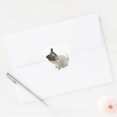 papillon pup vierkante sticker (Envelop)