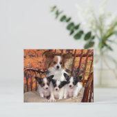 Papillon-puppies met mam briefkaart (Staand voorkant)