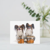 Papillon Puppies spelen Drums Briefkaart (Staand voorkant)