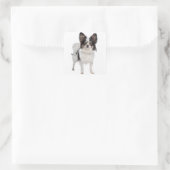 Papillon Puppy Dog - Liefde Puppies Vierkante Sticker (Tas)
