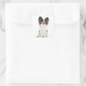 Papillon Puppy Dog - Liefde Puppies Vierkante Sticker (Tas)