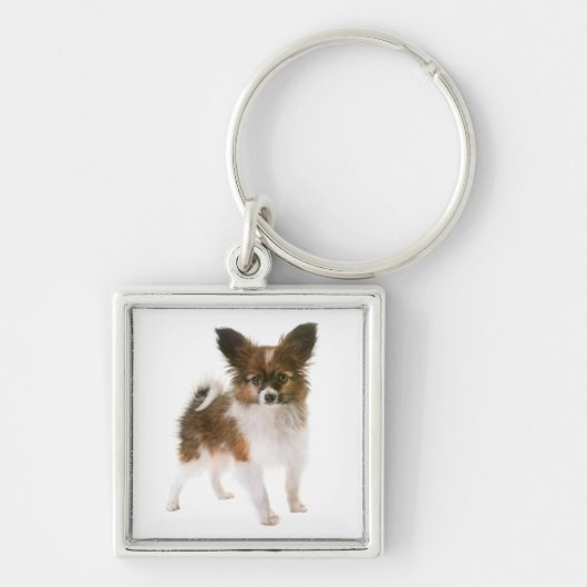 Papillon Puppy Dog sleutelhanger (Voorkant)