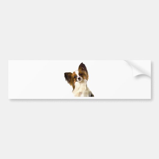 Papillon puppy geïsoleerd op bewerkbare achtergron bumpersticker (Voorkant)