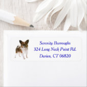 Papillon puppy hond blauw etiket (Insitu)