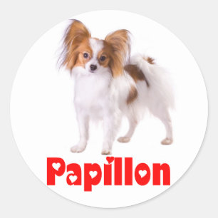 Papillon Puppy Hond - Love Puppies, Hallo Ronde Sticker