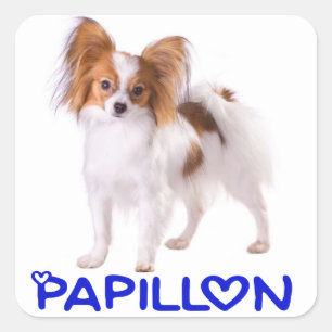 Papillon Puppy Hond - Love Puppies, Hallo Vierkante Sticker
