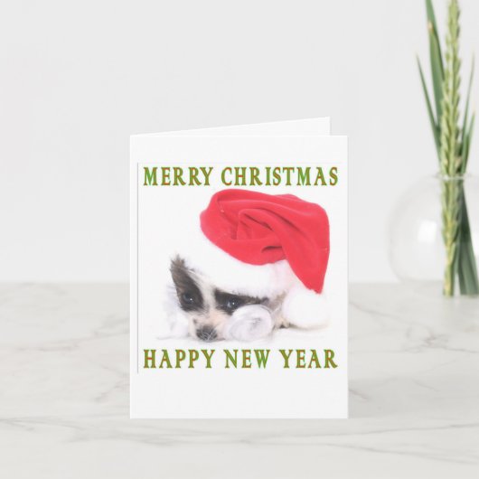 PAPILLON PUPPY KERSTMIS KAART (Voorkant)