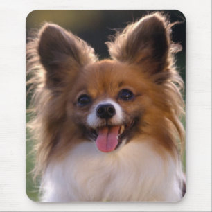 Papillon Puppy mama Hondenliefhebber Fur Mama Pupp Muismat