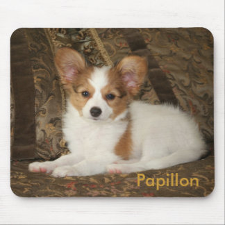 Papillon Puppy Mousepad Muismat