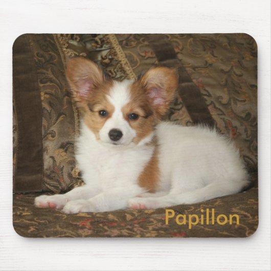 Papillon Puppy Mousepad Muismat (Voorkant)