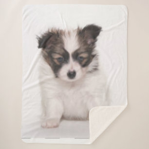 PAPILLON PUPPY SHERPA DEKEN