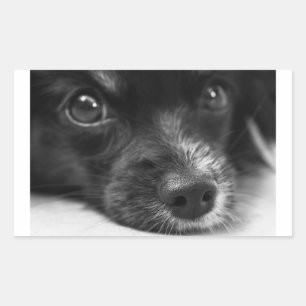 papillon rechthoekige sticker