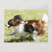 Papillon runnen briefkaart (Voorkant)