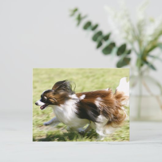 Papillon runnen briefkaart (Staand voorkant)