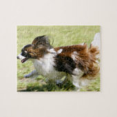 Papillon runnen legpuzzel (Horizontaal)