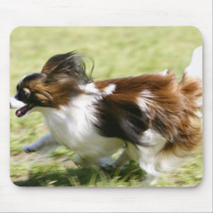 Papillon runnen muismat