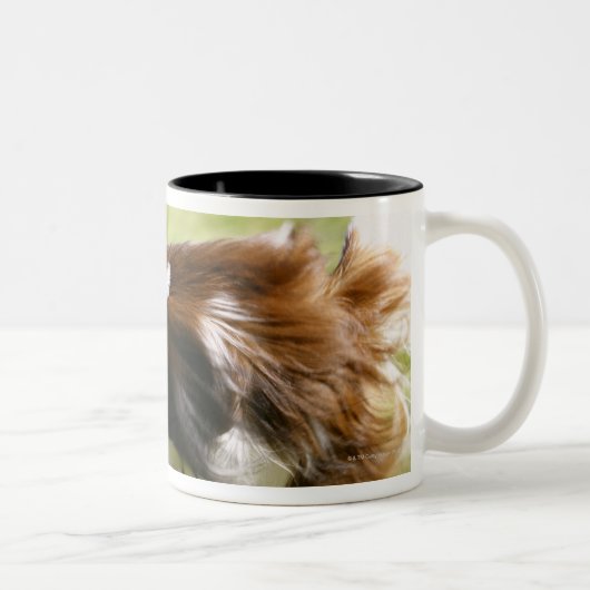 Papillon runnen tweekleurige koffiemok (Rechts)