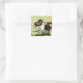 Papillon runnen vierkante sticker (Tas)