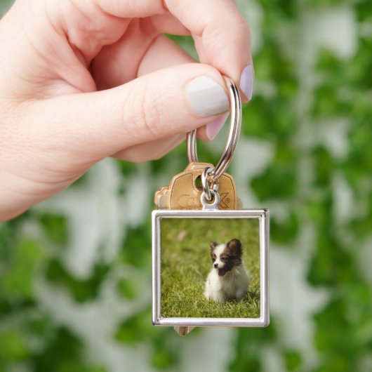 Papillon Sleutelhanger (Hand)