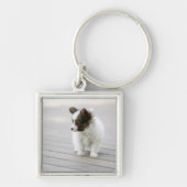 Papillon Sleutelhanger (Voorkant)