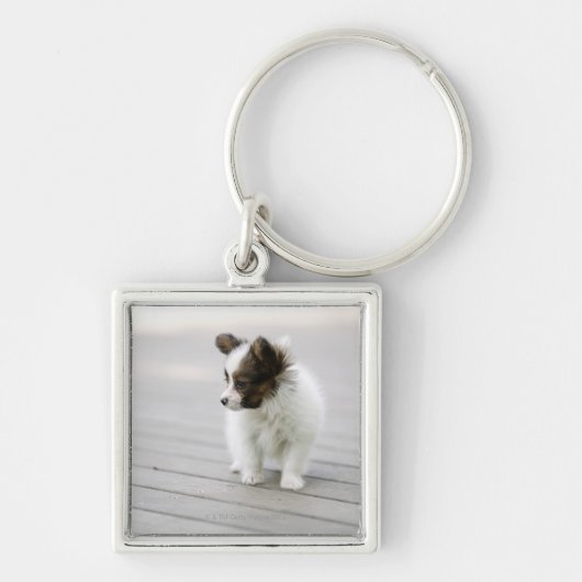 Papillon Sleutelhanger (Voorkant)