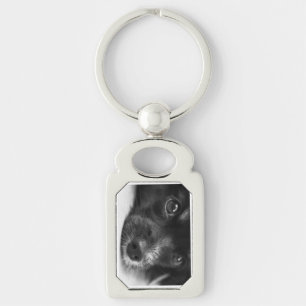 papillon sleutelhanger