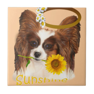 Papillon Sunshine Tiles Tegeltje