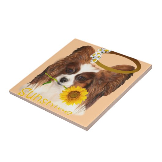 Papillon Sunshine Tiles Tegeltje (Zijkant)