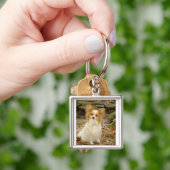 Papillon-vergadering.png Sleutelhanger (Hand)
