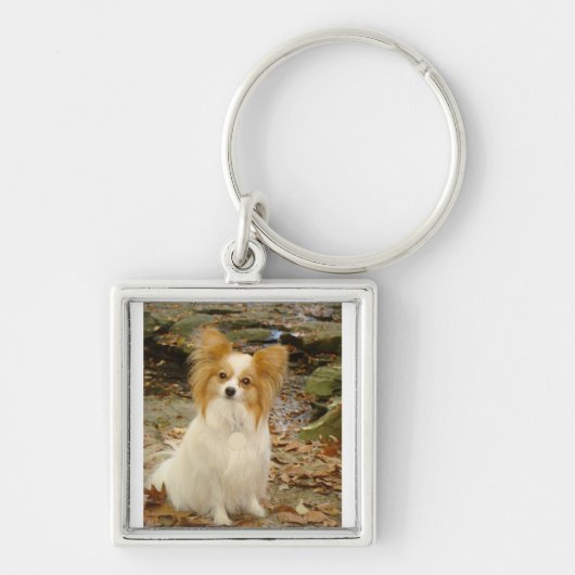 Papillon-vergadering.png Sleutelhanger (Voorkant)