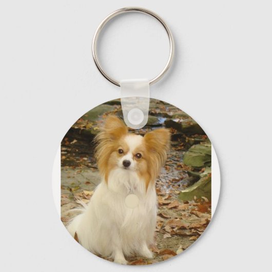 Papillon-vergadering.png Sleutelhanger (Voorkant)