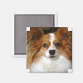 Papillon vierkante magneet (Voorkant / Achterkant)