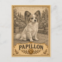 Papillon, Vintage Heritage Hond