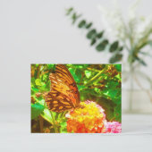 Papillon (vlinder) briefkaart (Staand voorkant)